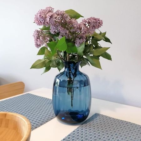Apartament Gromadzyn 39 Ustrzyki Dolne Dış mekan fotoğraf