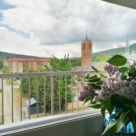 Apartament Gromadzyn 39 Ustrzyki Dolne Dış mekan fotoğraf