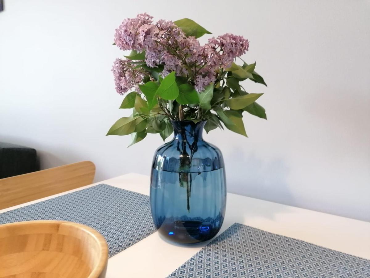 Apartament Gromadzyn 39 Ustrzyki Dolne Dış mekan fotoğraf