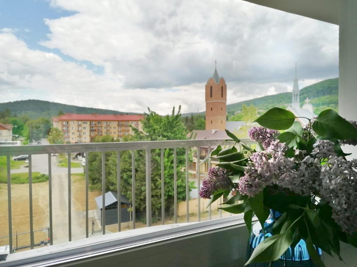 Apartament Gromadzyn 39 Ustrzyki Dolne Dış mekan fotoğraf